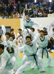 조선대학교 태권도 시범단이 ‘세계태권도한마당 2005’ 태권체조 부문에서 영예의 우승을 차지했다.