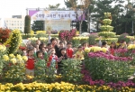 현대중공업이 주최한 국화전시회가 동구지역에서 열리고 있다. 
