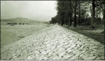 옛날 한강변(뚝섬 지구1962년 촬영사진)