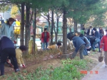 지난 16일 원미구 상1동에서는 주민자치위원등 자생단체원 100여명이 참여하여 아파트 사잇길에 연산홍등 야생화 3종 1,800본을 보식하여 향기 그윽한 꽃밭으로 가꾸어져 가고 있어