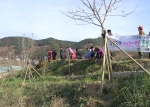 창원시 북면사무소는 관광객들에게 볼거리를 제공하고 지역주민들을 위한 산책로를 조성키로 하고 18일 낙동강변에 야생화를 심었다.