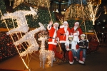 강원랜드는 29일 오후 호텔 호수광장 앞에서 관광객들과 지역주민들이 참석한 가운테 2005 크리스마스 트리 점등식을 가졌다. 
이번에 설치된 크리스마스 트리는 '2005
