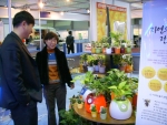 친환경유기농박람회2005 행사장 