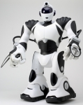 로보사피엔스 V2