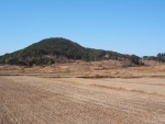 고성 내산리고분군 전경