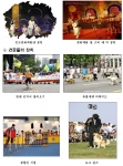 서울시는 희망의 2006년도 개띠의 해를 맞아 서울광장 등에서 개띠 해 새해맞이 및 동물사랑을 주제로 12.31 오후 2시～5시까지 새해맞이 축제를 개최한다.
