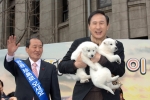 전라남도 진도군에서  서울시민에게 2006년을 상징하는 진돗개 8마리(2천년 상징하는 성견 2마리, 6년 상징하는 자견 6마리)를 기증하였다