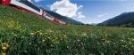 세계적 유럽철도상품 공급회사인 레일유럽은 아름다운 유럽국가들 중 3개국에서5개국까지 선택해서 철도 여행을 즐길 수 있는 유레일 셀렉트 패스 상품의 조기 예약자를 위한 “어얼리 버드