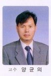 양균의 교수