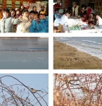 여의도샛강 생태공원 - 나무 조각을 이용한 그림그리기 및 공작교실
강서습지생태공원 - 철새를 가까운 거리에서 볼 수 있다
고덕수변생태공원-찔레열매는 겨울철 새들의 먹이감(좌:박