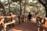 경북도 (산림자원종합개발사업소)는  안동시 도산면(도산서원 옆) 소재 산림과학박물관 주변 산림에 산책로 및 휴양공간을 마련하였다 
