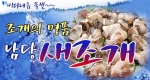 오는 25일부터 열리는 새조개 축제에 선보일 조개의 귀족이라 불리는 새조개, 싱싱한 현지 상태 그대로 농사랑에서 구매할 수 있다.