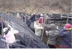 전라북도 도청 공무원들이 “매마토 봉사”를 실천하여 1회성 행사가 아닌 정기적인 자원봉사로 자리매김 하고 있다.
