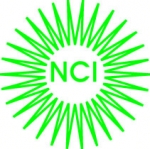 밤송이 타입의 광촉매 나노입자를 형상화한 (주)NCI 로고