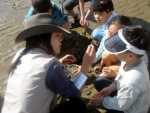 태안해안국립공원(소장 백상흠)은 봄철 공원내 해수욕장을 찾는
탐방객들을 대상으로 해안사구 및 갯벌생물 등을 소재로 하는
다양한 자연해설프로그램을 운영한다.
