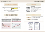 매직차이나 브로셔1