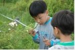 찔레꽃 생태 프로그램에서 한 아이가 꽃내음을 맡고 있다