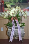 박지성이 김용서 수원시장 당선자에게 보낸 꽃  
