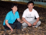 톱밥표고버섯의 대량재배기술을 개발한 정의용 씨(44세)와 부인 박은순 씨(39세) 