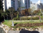 수원 화서도시숲 공원