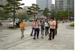 도심조경탐방 코스-태평로 가로조경