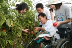 강원도 춘천 청정 물안마을에서 삼성생명 고객, 임직원, 설계사 자녀들이 장애인들과 함께 농촌체험 봉사활동을 함께 펼치고 있다.