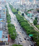 대남로숲