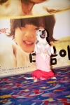 영화<마음이…>의 ‘마음이’ 역으로 열연한 견(犬) ‘달이’