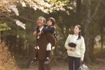 영화 <박사가 사랑한 수식> 