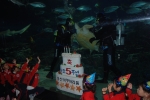 부산아쿠아리움 개관5주년 수중 생일 잔치