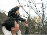 11월11일 오전 10시부터 사능수목학습원(경기도 남양주 사능리)에서 흙피리와 함께하는 산수유열매따기 행사를 개최한다. 
