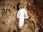 현대중공업 이성호 과장이 사내 녹지대인 대나무 숲에서 발견한 순백색 레이스의 자태를 뽐내는 망태버섯. 