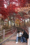 공주대학교 캠퍼스