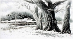 청전리의 설경(雪景)