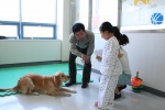 “동물병원도 아닌데 병원에 웬 개(犬)야?”