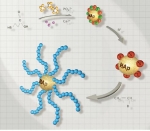 연구팀의 기능성 고분자로 표면개질된 하이드록시아파타이트 나노입자 제조를 위한 신합성기술 그래픽. 표면반응성이 있는 세라믹 나노입자를 제조하고 다양한 기능성 고분자를 도입할 수 있으