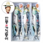 ‘설 선물과 차례상 준비는 안동특산품으로’...사이버안동장터 명절선물 특선 마련