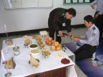 합동차례상 모습