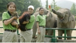 서울대공원 동물원 맹렬여성 3인방