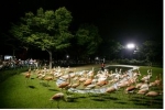 서울대공원, ‘동물원 별밤축제’ 개최