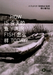 매혹적인 꿈의 마을, 모헤를 찾아서 ‘당신의 물고기는 안녕하십니까?’