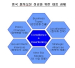 중국 블루오션 시장 분석 관련 도표