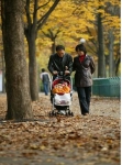 서울대공원, 사랑하는 가족·연인과 가을 속으로 떠나 보세요