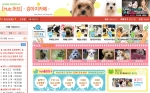 애완동물 커뮤니티 ‘강아지카페-허브’  인기