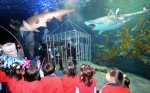 부산아쿠아리움, ‘백과사전 밖으로 튀어 나온 상어이야기’ 전시