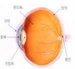 안과학회가 제시한 눈 건강 생활수칙 4가지