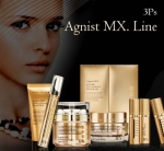 3Ps, 2007 아시아 모델 페스티발 어워즈 참여