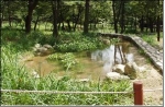 효창공원 - 용산구 효창동