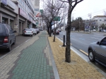 도심 가로변 푸른잔디
