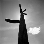 The Edge | gelatin silver print | 80×80 (cm) | 2006 